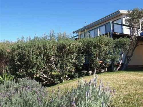 Apartamento Blue Crest 2