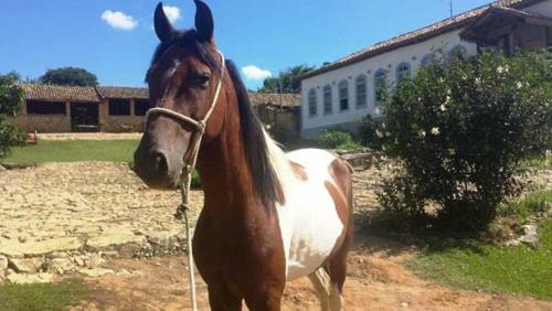 Agroturismo Fazenda Da Pedra