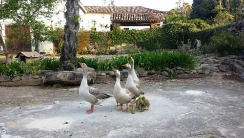 Agroturismo Fazenda Da Pedra