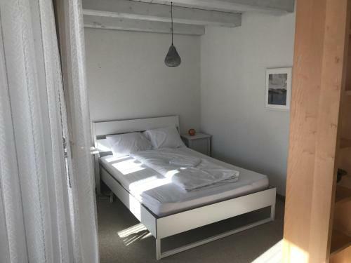 Amdenlodge Apartments - Gardens Studio & Terracehouse