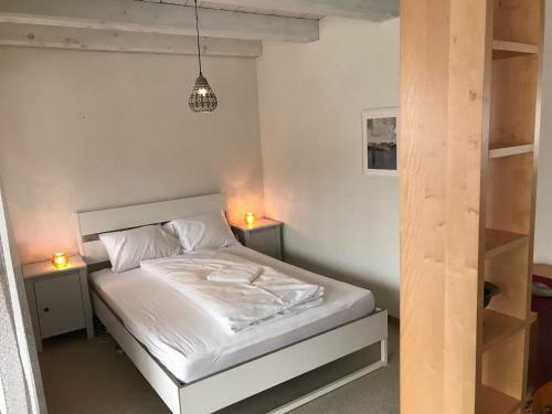 Amdenlodge Apartments - Gardens Studio & Terracehouse