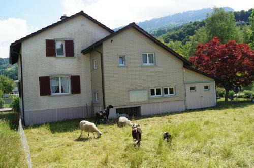 Ferienhaus Schils