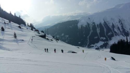 Hotel Mountain Lodge Sedrun