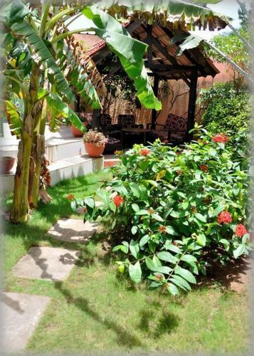 Hotel Aurore Lom�