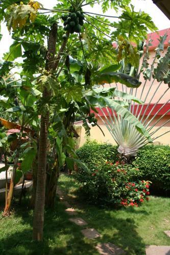 Hotel Aurore Lom�