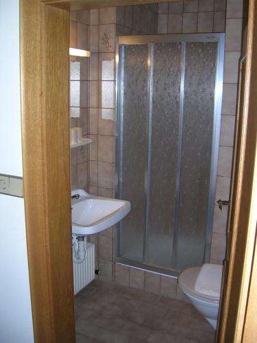 Apartamento Appartement Alpenhof Wildsch�nau