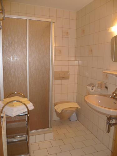Apartamento Appartement Alpenhof Wildsch�nau