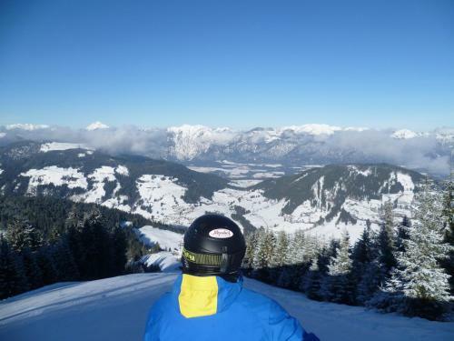Apartamento Appartement Alpenhof Wildsch�nau