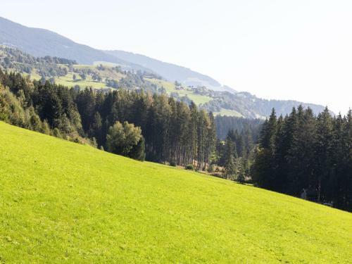Apartamento Dankl