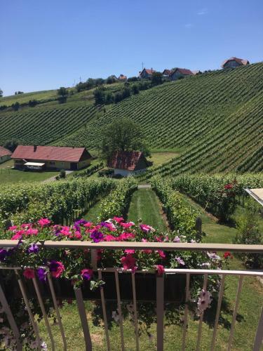 Weinbau Winzerzimmer Veronika Und Alfred Kl�ckl