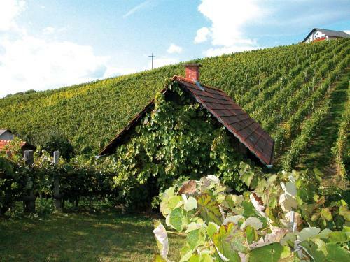 Weinbau Winzerzimmer Veronika Und Alfred Kl�ckl