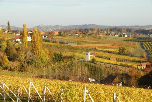 Weinbau Winzerzimmer Veronika Und Alfred Kl�ckl