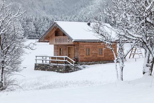 Ferienh�tte Wolfgangsee