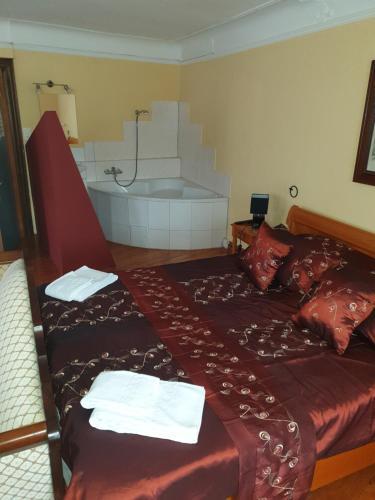 Hotel Schwanen&napolyon
