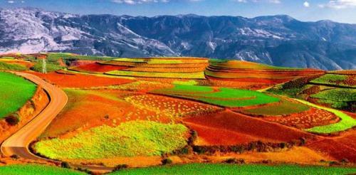 Agroturismo Red Land Plough Farm Stay