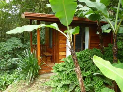 Hotel Arco Iris Lodge