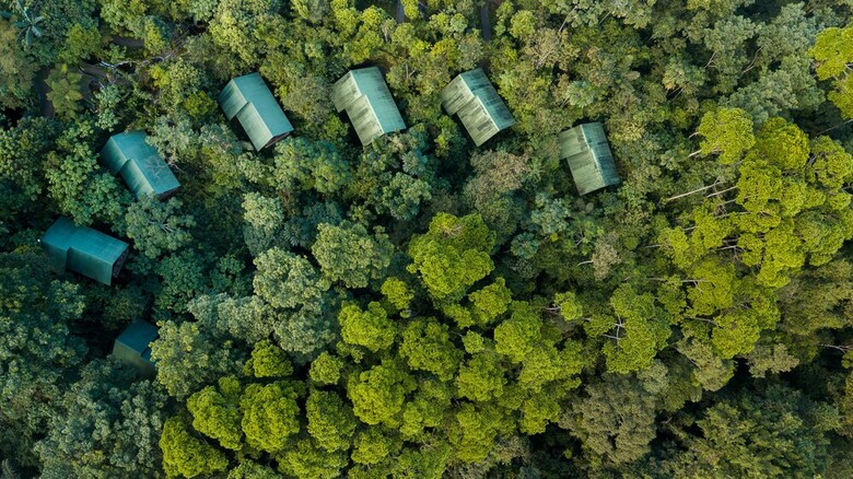 La Tigra Rainforest Lodge