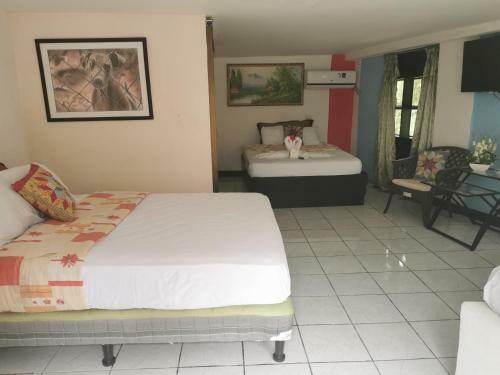 Hostal Hotel Cafe Del Mar, En Valle Pura Vida