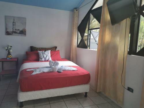 Hostal Hotel Cafe Del Mar, En Valle Pura Vida