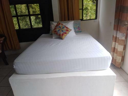 Hostal Hotel Cafe Del Mar, En Valle Pura Vida