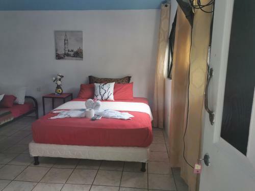 Hostal Hotel Cafe Del Mar, En Valle Pura Vida