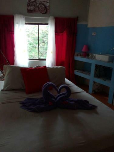 Hostal Hotel Cafe Del Mar, En Valle Pura Vida
