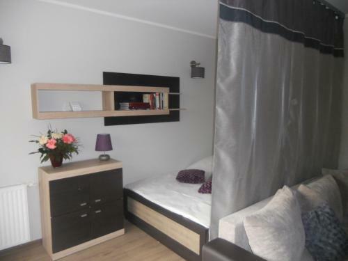 Apartament-studio
