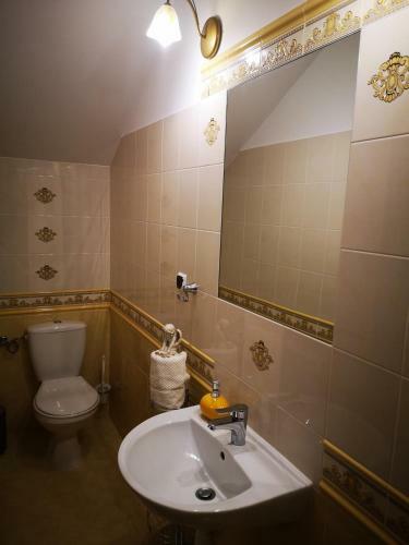 Hostal Pensjonat B??kitny Anio?