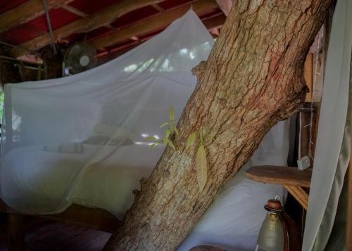 Albergue Flutterby House