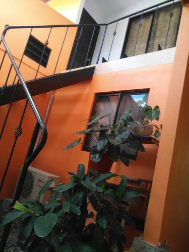Lodge Hotel Sue�os De Mar�a