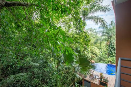 Posada Jungle Vista Inn