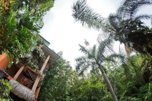Posada Jungle Vista Inn
