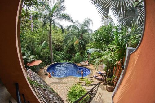Posada Jungle Vista Inn