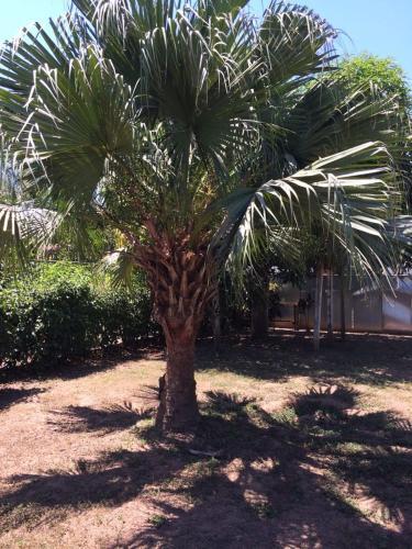 Villa Sof�a Parrita