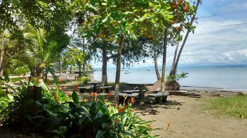 Hostal Osa Surf Hostel