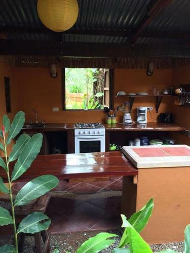 Casa Ginger