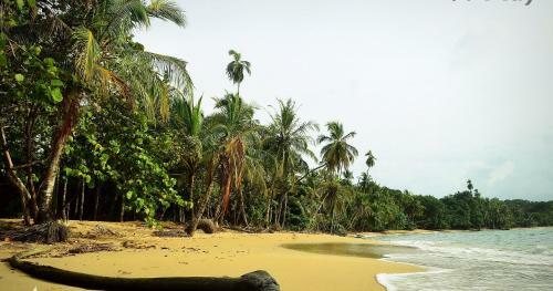 Hotel Coco Loco Lodge