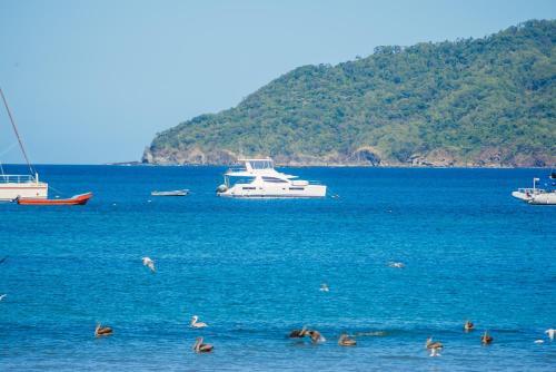 Jet Luxury At Langosta Beach Resort & Villas