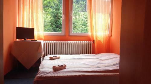 Hotel Sneznik