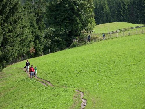 Apartment Riedmann Brixen Im Thale