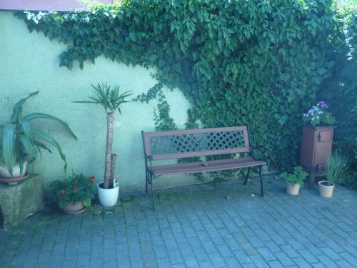 Apartamentos Zelen�