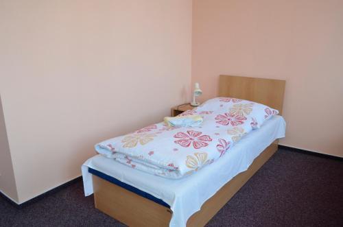 Hostal Penzion Pood?�