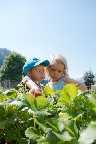 Hostal Appart-pension Steger