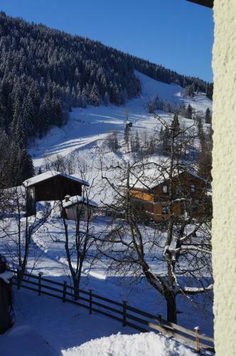 Apartamento Haus Ortner