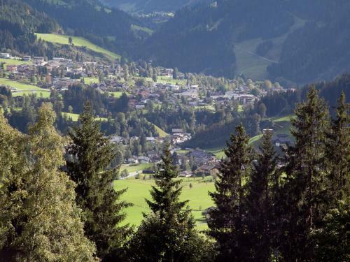 Holiday Home Schuttbach Wagrain