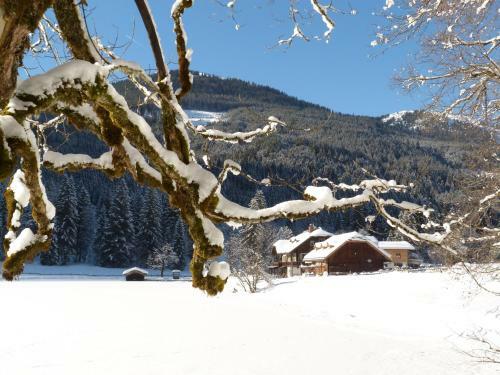 Apartamento Appartement Schuller