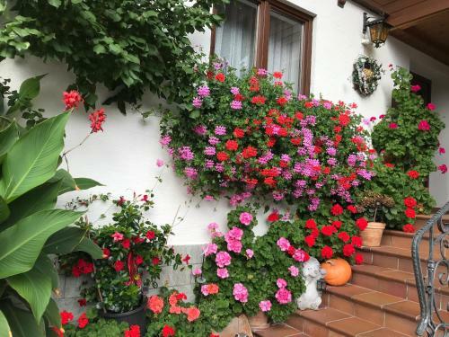 Hostal Haus Katharina