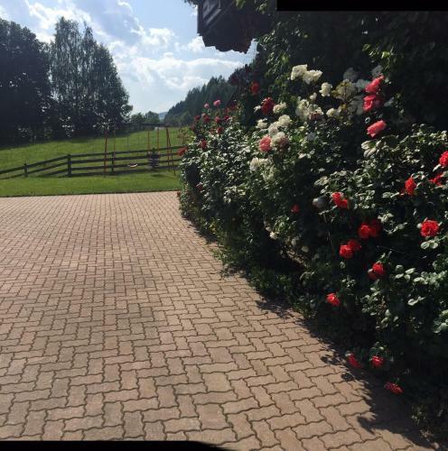 Hostal Haus Katharina