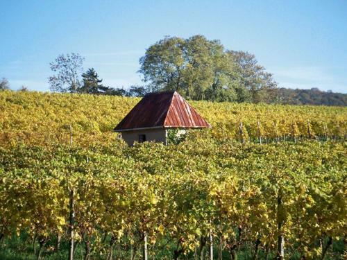 Hotel-gasthof Rotes Ro�