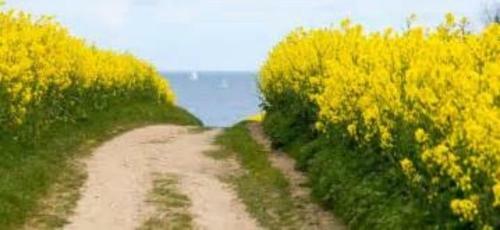 Apartment Am Strand Silberm�we 1 - [#109719]